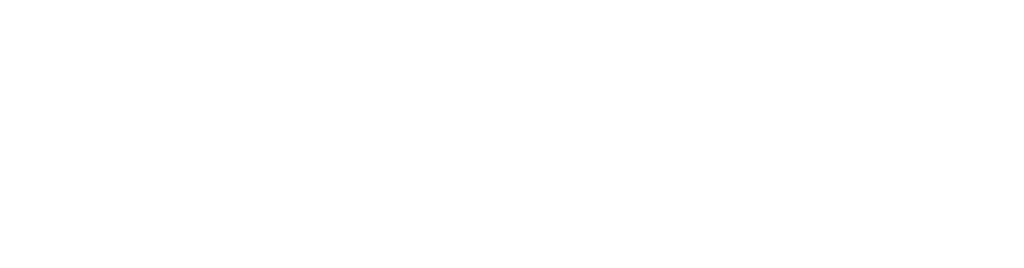 ES Financiado por la Unión Europea_WHITE